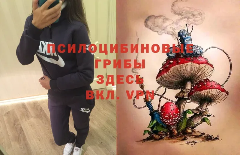 Псилоцибиновые грибы MAGIC MUSHROOMS  где купить наркоту  Соликамск 