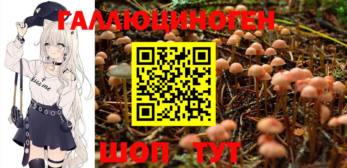 Псилоцибиновые грибы MAGIC MUSHROOMS Соликамск