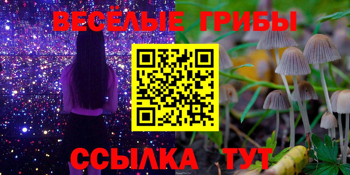 где найти наркотики  Галлюциногенные грибы MAGIC MUSHROOMS  Вход с VPN  Соликамск 