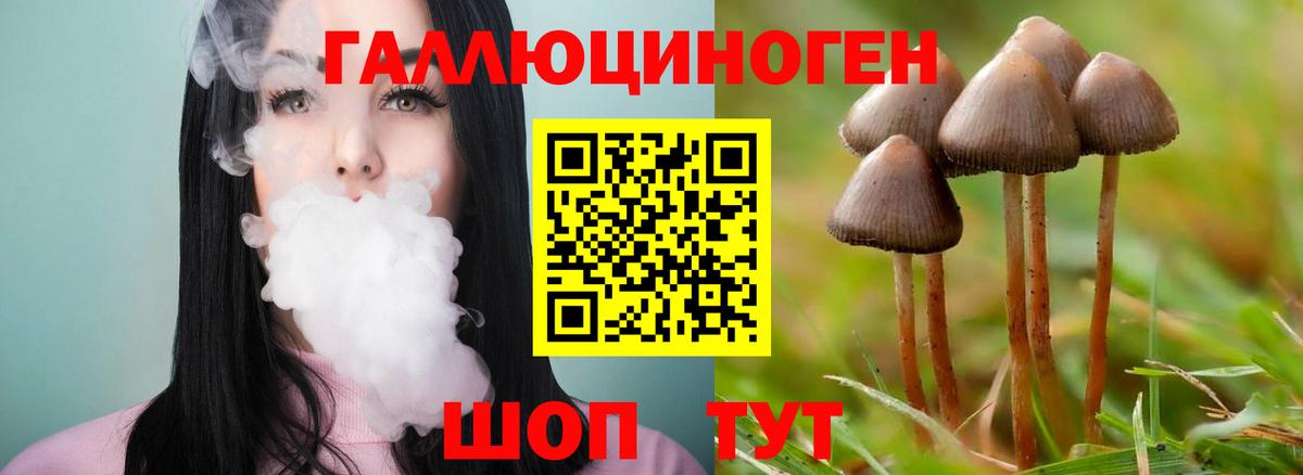 Псилоцибиновые грибы Psilocybe  Соликамск 